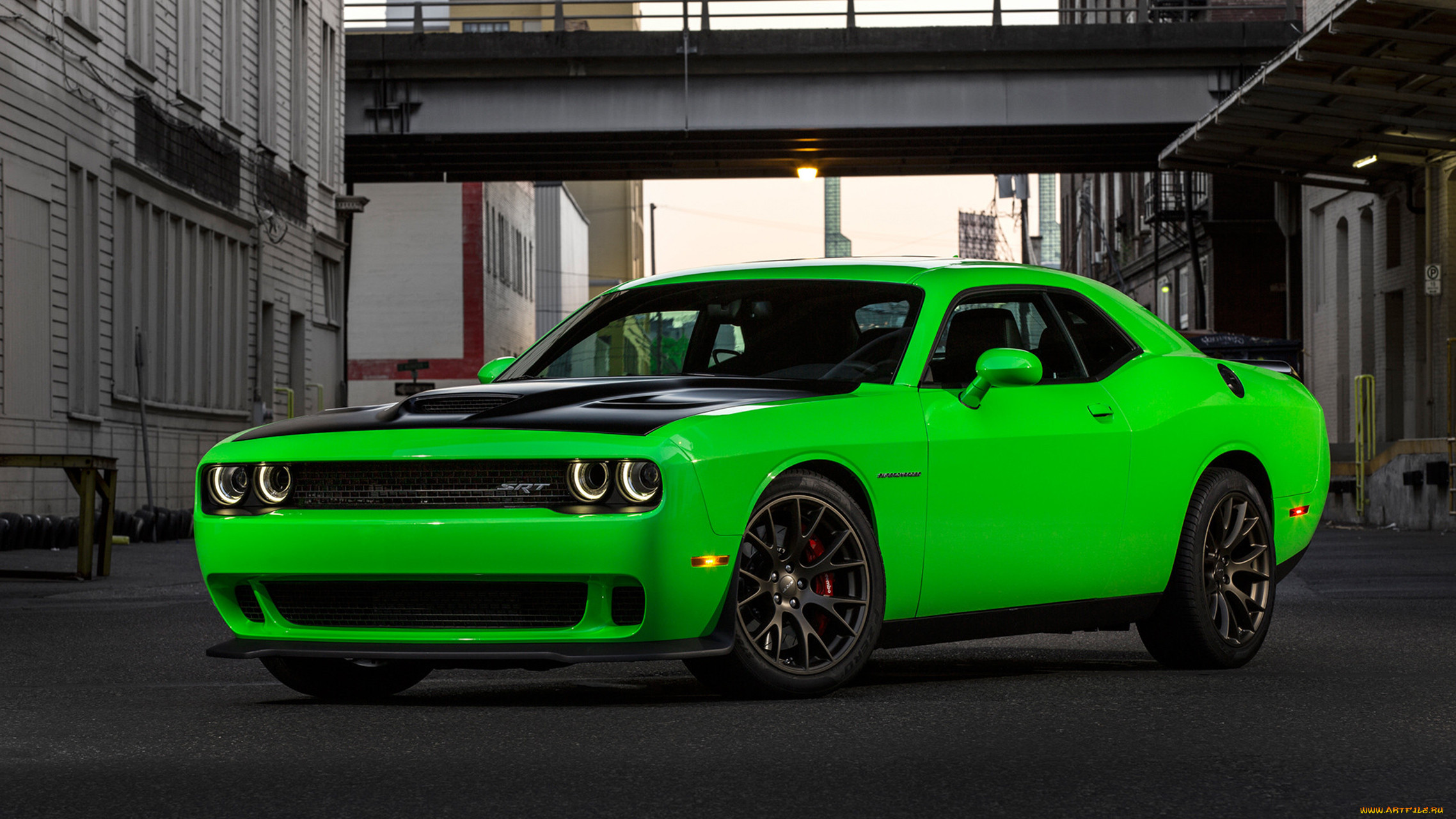 dodge challenger srt supercharged hemi hellcat 2015, , dodge, challenger, srt, supercharged, hemi, hellcat, 2015